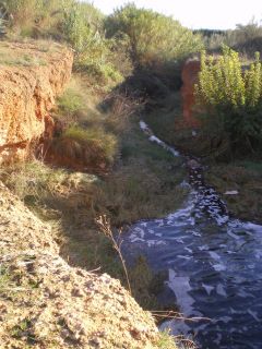 El Barranc dels Cavalls