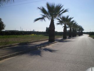 Camí de Samarra, entrada al Cementeri Municipal