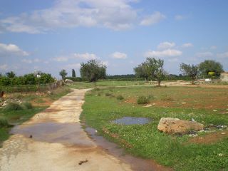 Camí de La Galerota