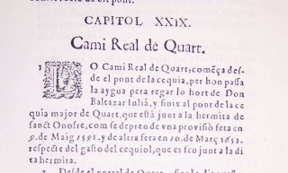 real_cami.jpg