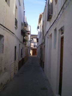 rossinyol5.jpg