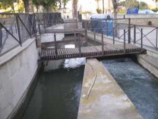 onofre5.jpg