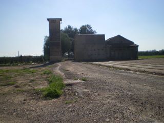 foramoli.jpg