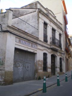 moli.jpg