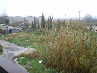 rafol5.jpg
