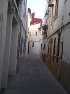 rossinyol1.jpg
