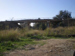 vereda_ganados_pont.jpg