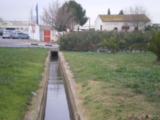 dimarts3.jpg