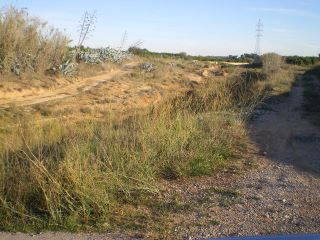 bassess_barranc1.jpg