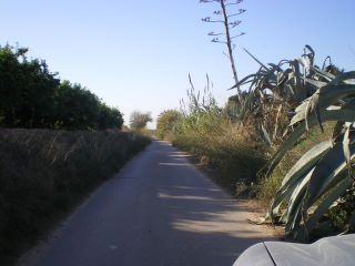 pla_cami.jpg