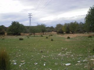 galerota_alberg.jpg